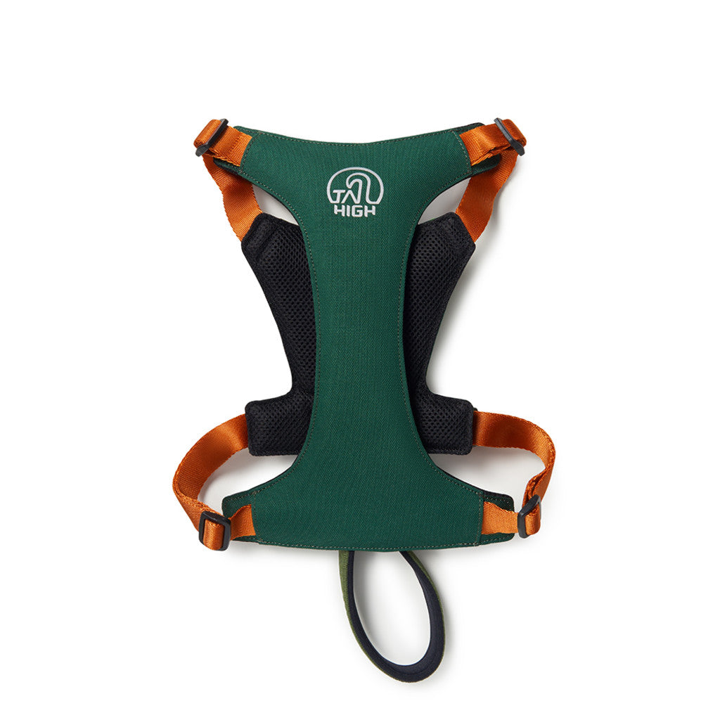 TAILHIGH Hybrid Harness WoodGreen