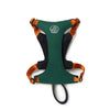 TAILHIGH Hybrid Harness WoodGreen