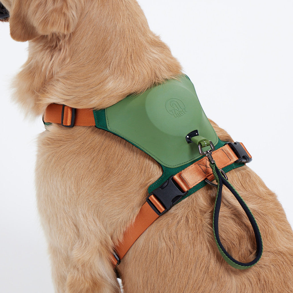 TAILHIGH Hybrid Harness WoodGreen