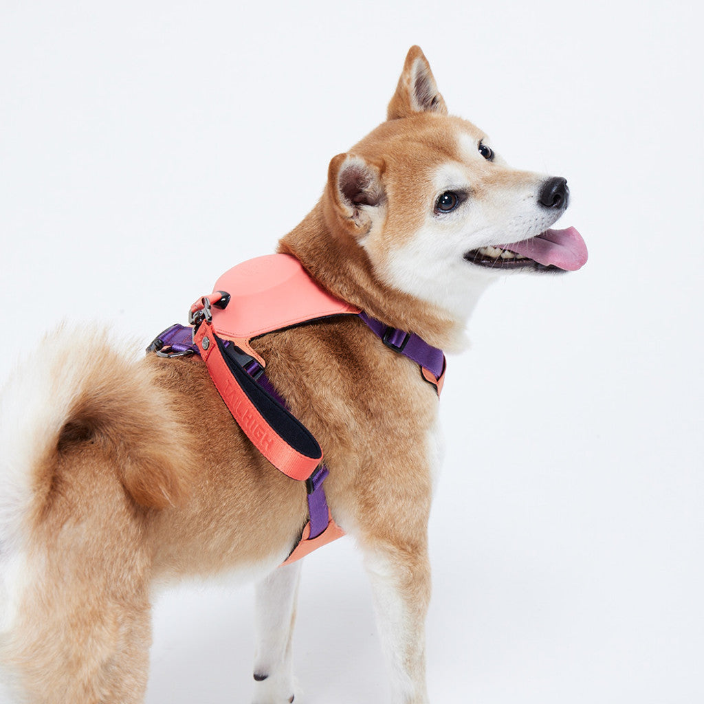 TAILHIGH Hybrid Harness BerryPink